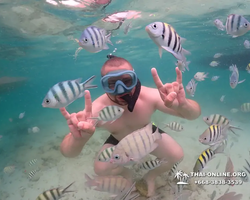 Underwater Odyssey snorkeling excursion in Pattaya Thailand photo 177