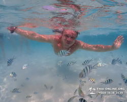 Underwater Odyssey snorkeling excursion in Pattaya Thailand photo 1010