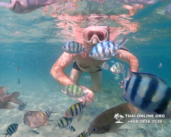 Underwater Odyssey snorkeling excursion Pattaya Thailand photo 11191