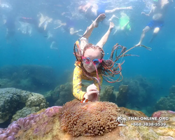 Underwater Odyssey snorkeling excursion Pattaya Thailand photo 11565