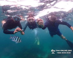 Underwater Odyssey snorkeling excursion in Pattaya Thailand photo 60