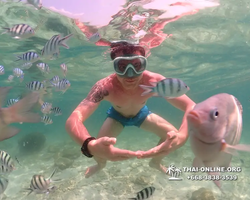 Underwater Odyssey snorkeling tour from Pattaya Thailand photo 18349