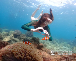 Underwater Odyssey snorkeling excursion Pattaya Thailand photo 11349