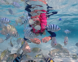 Underwater Odyssey snorkeling excursion in Pattaya Thailand photo 687