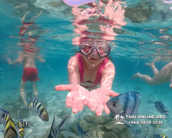 Underwater Odyssey snorkeling tour from Pattaya Thailand photo 14159