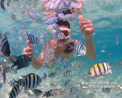 Underwater Odyssey snorkeling excursion Pattaya Thailand photo 11263