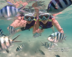 Underwater Odyssey snorkeling excursion Pattaya Thailand photo 19291