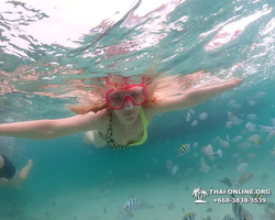 Underwater Odyssey snorkeling excursion in Pattaya Thailand photo 62