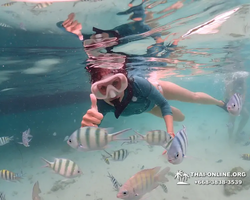 Underwater Odyssey snorkeling excursion in Pattaya Thailand photo 167