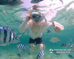 Underwater Odyssey snorkeling tour from Pattaya Thailand photo 18410