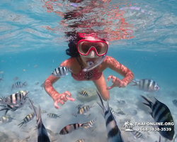 Underwater Odyssey snorkeling excursion in Pattaya Thailand photo 444