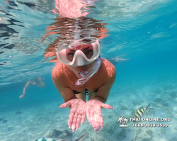Underwater Odyssey snorkeling excursion Pattaya Thailand photo 10966