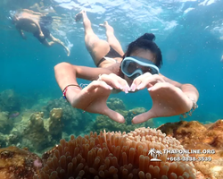 Underwater Odyssey snorkeling tour from Pattaya Thailand photo 14248