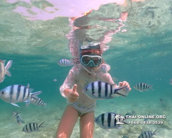 Underwater Odyssey snorkeling tour from Pattaya Thailand photo 18378