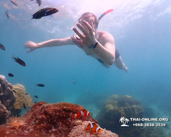 Underwater Odyssey snorkeling excursion in Pattaya Thailand photo 562