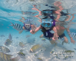 Underwater Odyssey snorkeling excursion in Pattaya Thailand photo 866