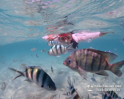 Underwater Odyssey snorkeling excursion in Pattaya Thailand photo 522