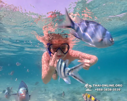 Underwater Odyssey snorkeling excursion Pattaya Thailand photo 11018