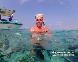 Underwater Odyssey snorkeling excursion Pattaya Thailand photo 11313