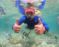 Underwater Odyssey snorkeling excursion Pattaya Thailand photo 14819