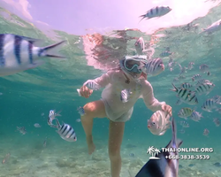 Underwater Odyssey snorkeling tour from Pattaya Thailand photo 18456