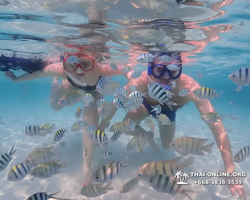 Underwater Odyssey snorkeling excursion in Pattaya Thailand photo 922