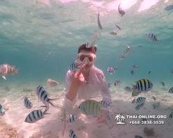 Underwater Odyssey snorkeling tour from Pattaya Thailand photo 18720
