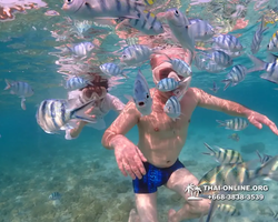 Underwater Odyssey snorkeling excursion Pattaya Thailand photo 11300