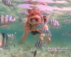 Underwater Odyssey snorkeling tour from Pattaya Thailand photo 18341