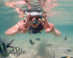 Underwater Odyssey snorkeling excursion Pattaya Thailand photo 19424