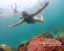 Underwater Odyssey snorkeling tour from Pattaya Thailand photo 18559
