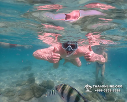 Underwater Odyssey snorkeling tour from Pattaya Thailand photo 14374