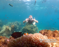 Underwater Odyssey snorkeling tour from Pattaya Thailand photo 14363