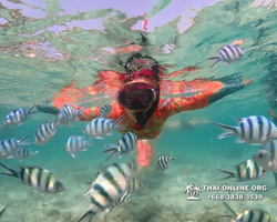 Underwater Odyssey snorkeling excursion Pattaya Thailand photo 14800