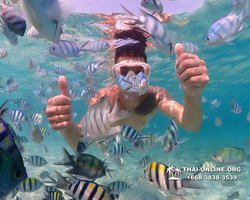 Underwater Odyssey snorkeling excursion Pattaya Thailand photo 11264