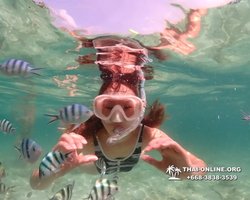 Underwater Odyssey snorkeling tour from Pattaya Thailand photo 18525