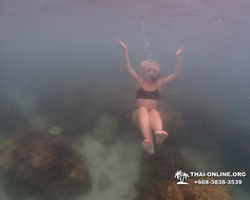 Underwater Odyssey snorkeling excursion in Pattaya Thailand photo 357