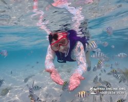 Underwater Odyssey snorkeling excursion in Pattaya Thailand photo 821