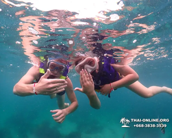 Underwater Odyssey snorkeling excursion in Pattaya Thailand photo 8