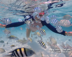 Underwater Odyssey snorkeling excursion in Pattaya Thailand photo 600