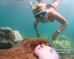 Underwater Odyssey snorkeling excursion Pattaya Thailand photo 19271