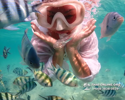 Underwater Odyssey snorkeling excursion Pattaya Thailand photo 14214