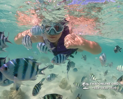 Underwater Odyssey snorkeling excursion Pattaya Thailand photo 19054