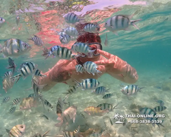 Underwater Odyssey snorkeling excursion Pattaya Thailand photo 14803