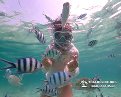 Underwater Odyssey snorkeling tour from Pattaya Thailand photo 18468