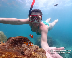 Underwater Odyssey snorkeling excursion in Pattaya Thailand photo 519