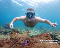 Underwater Odyssey snorkeling excursion Pattaya Thailand photo 11441