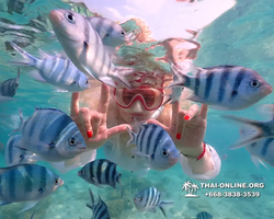 Underwater Odyssey snorkeling tour from Pattaya Thailand photo 14255