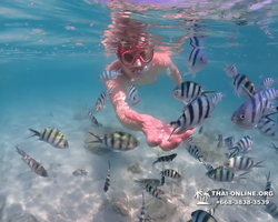 Underwater Odyssey snorkeling excursion in Pattaya Thailand photo 534