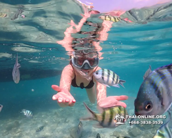 Underwater Odyssey snorkeling tour from Pattaya Thailand photo 14187